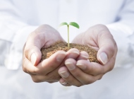 ホームページ作成