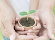 ホームページ更新・管理・維持